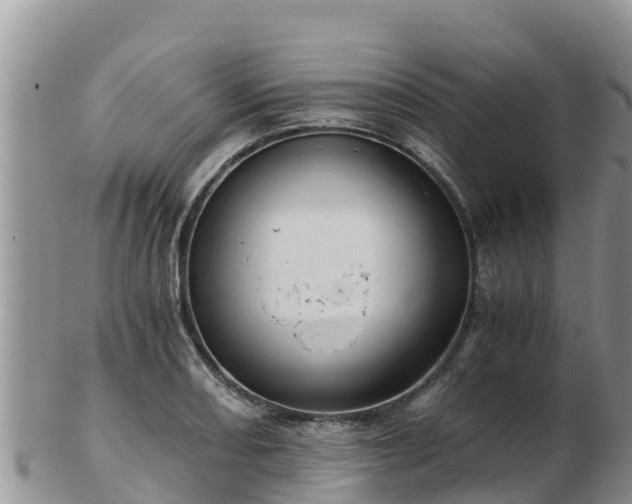 X0000103311082200809051539