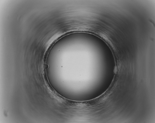 X0000103311085200809051539