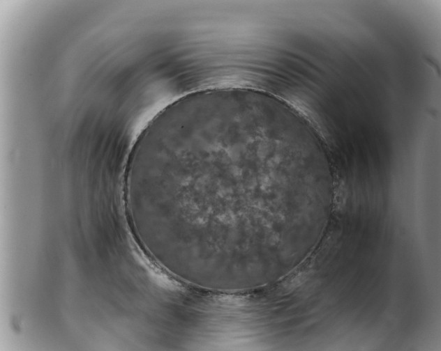 X0000103311086200809051539