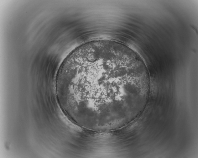 X0000103311090200809051539
