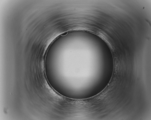 X0000103311092200809051539