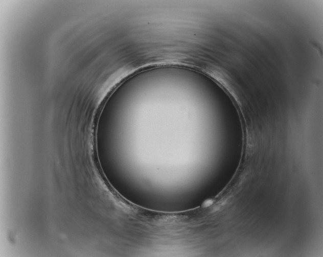 X0000103311093200809051539