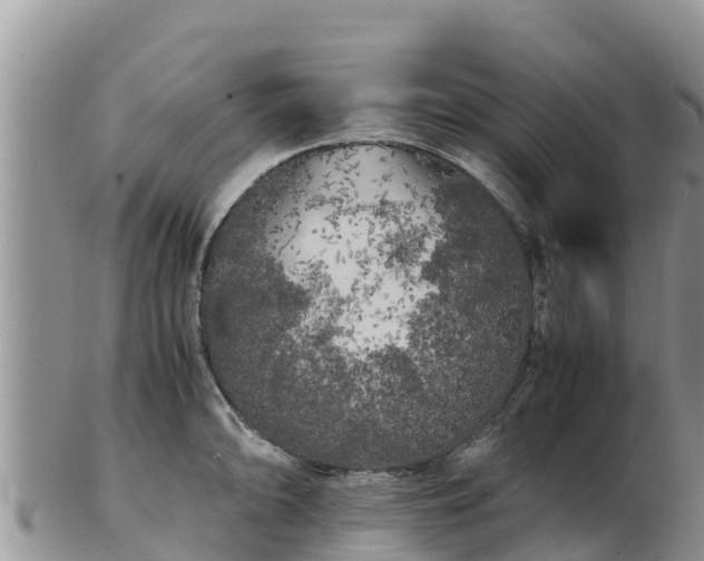 X0000103311094200809051539