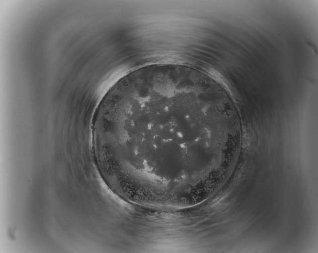 X0000103311095200809051539