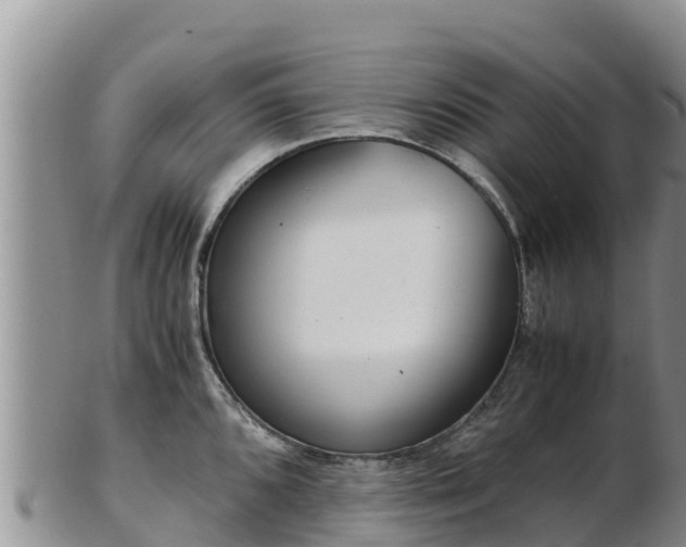 X0000103311096200809051539
