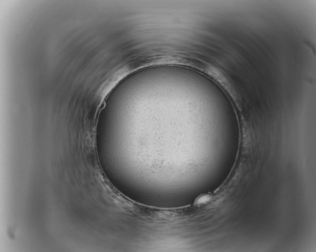 X0000103311097200809051539