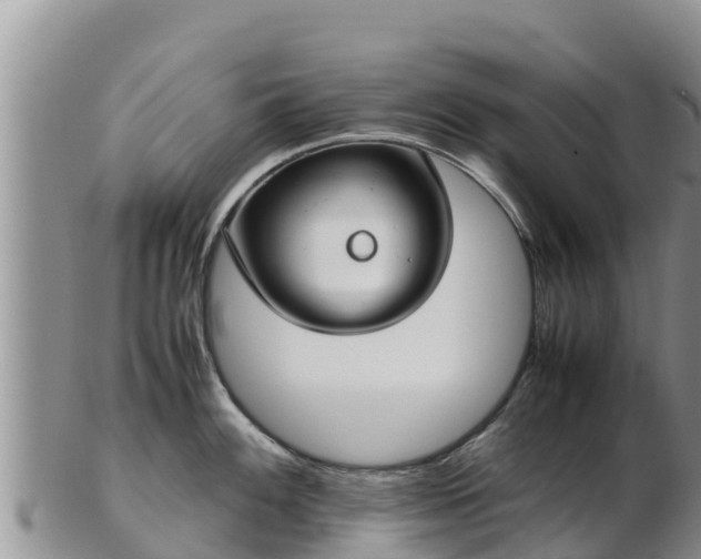 X0000103311100200809051539
