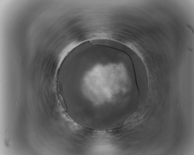 X0000103311104200809051539