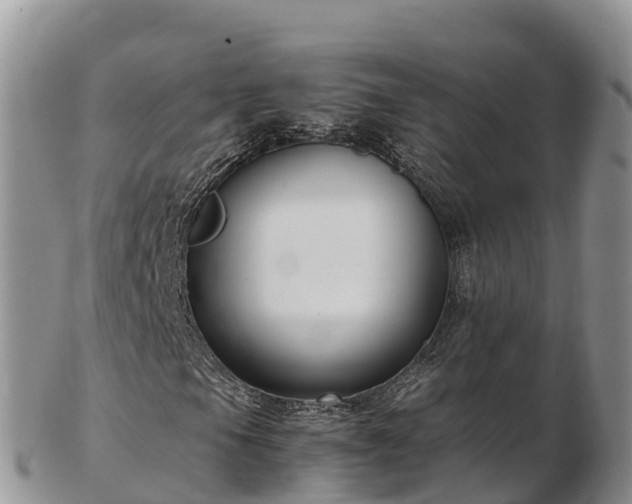 X0000103311105200809051538