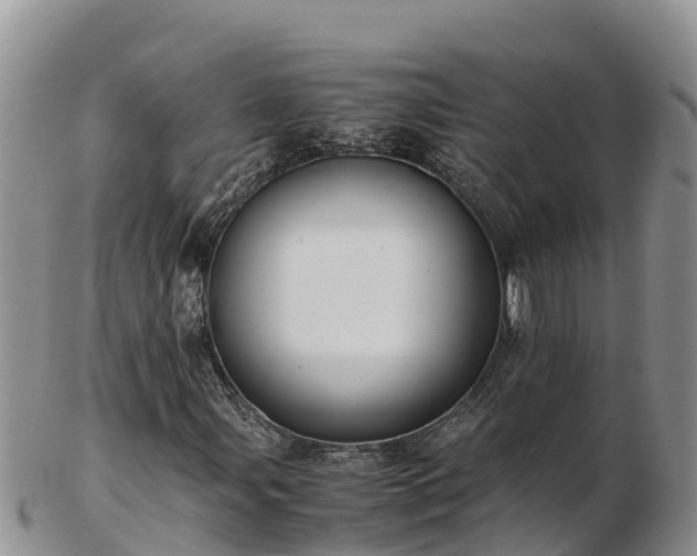 X0000103311107200809051538