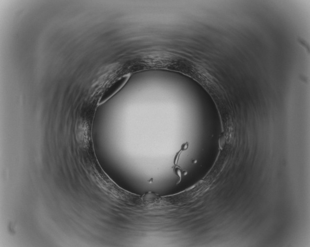 X0000103311108200809051538