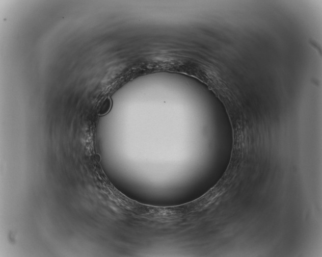 X0000103311109200809051538