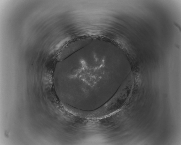 X0000103311110200809051538