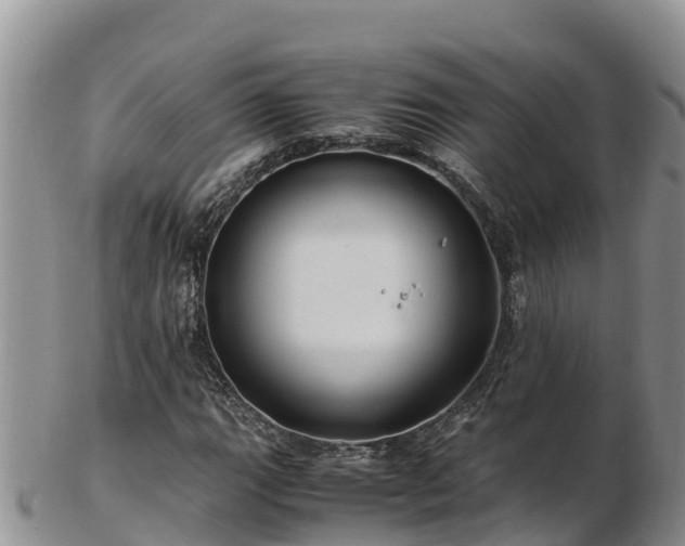 X0000103311111200809051538