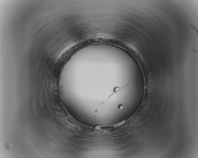 X0000103311112200809051538