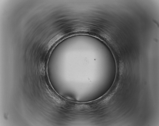 X0000103311113200809051538