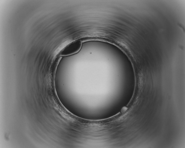 X0000103311114200809051538