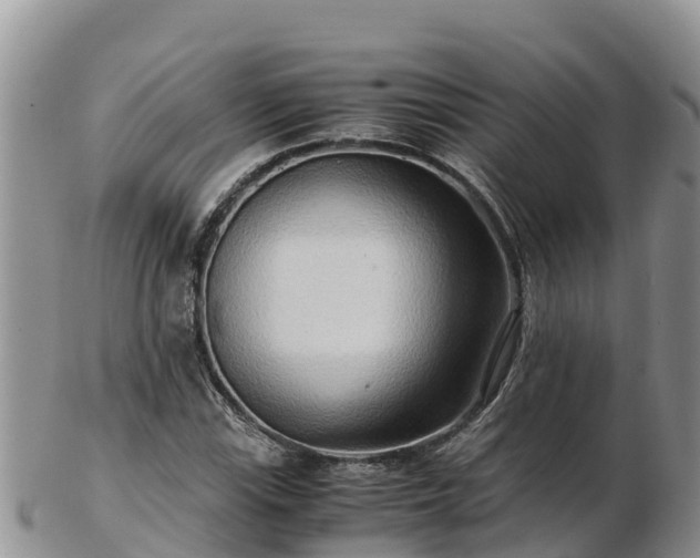 X0000103311115200809051538