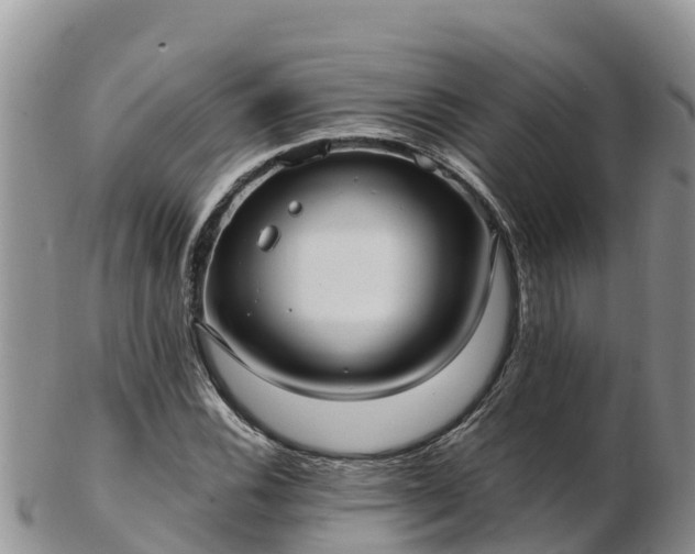 X0000103311116200809051538