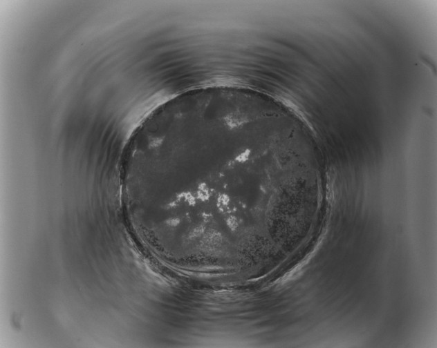 X0000103311117200809051538