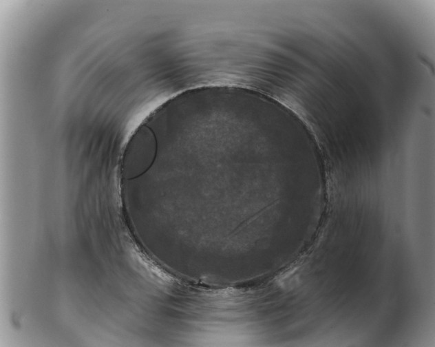 X0000103311120200809051539