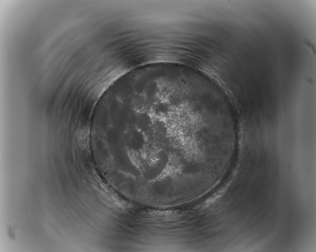 X0000103311121200809051539