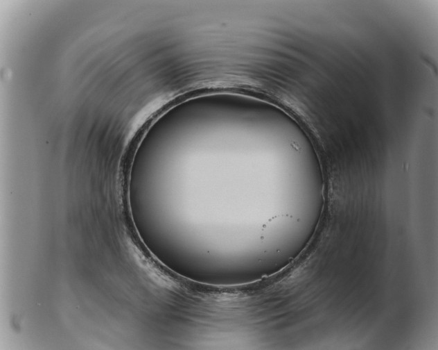 X0000103311122200809051539