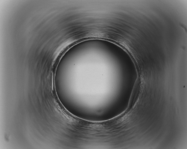 X0000103311123200809051539