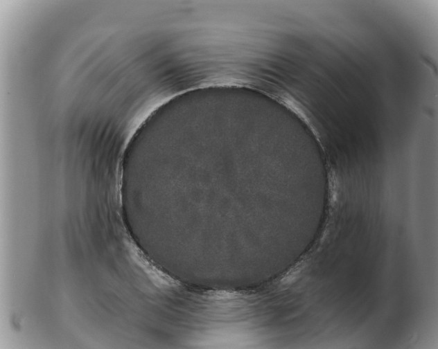 X0000103311124200809051539
