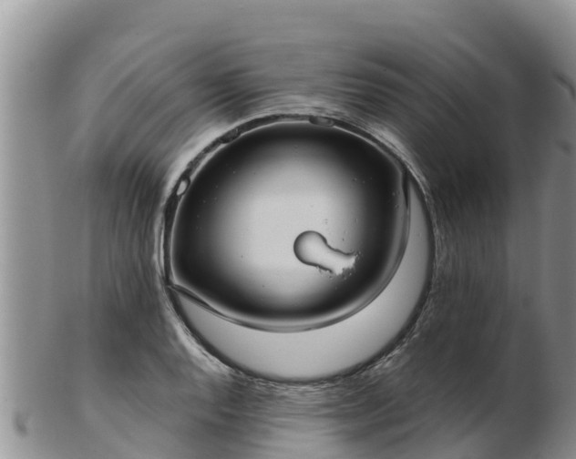 X0000103311128200809051539