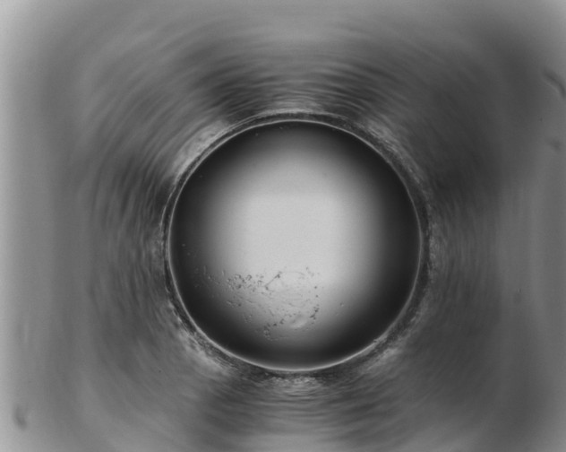 X0000103311129200809051539