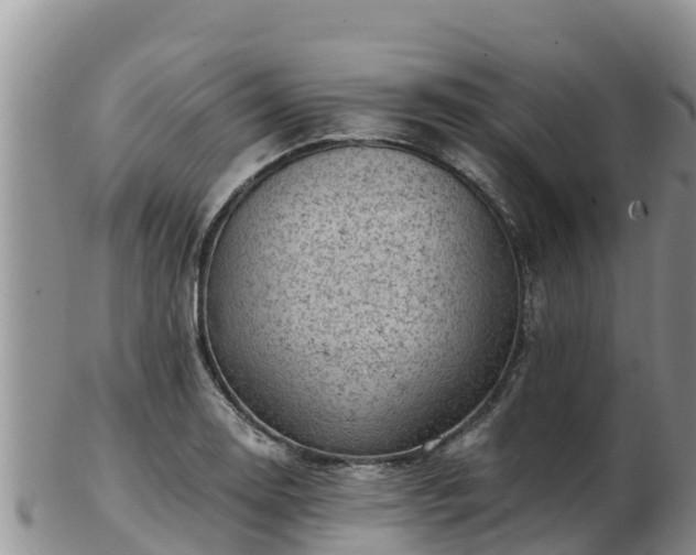 X0000103311130200809051539