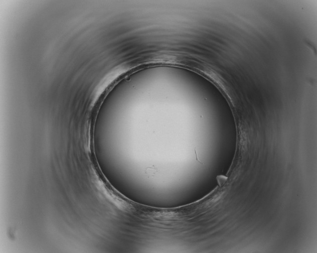 X0000103311131200809051539