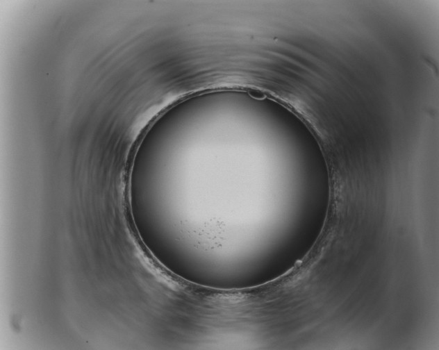 X0000103311134200809051539