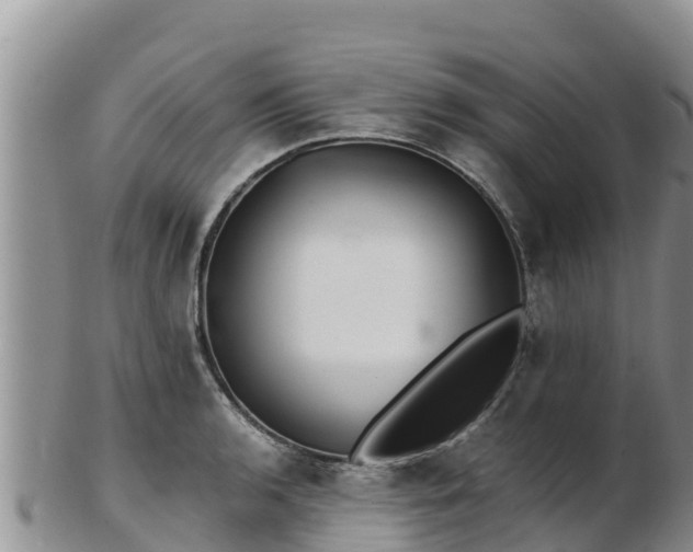 X0000103311136200809051539