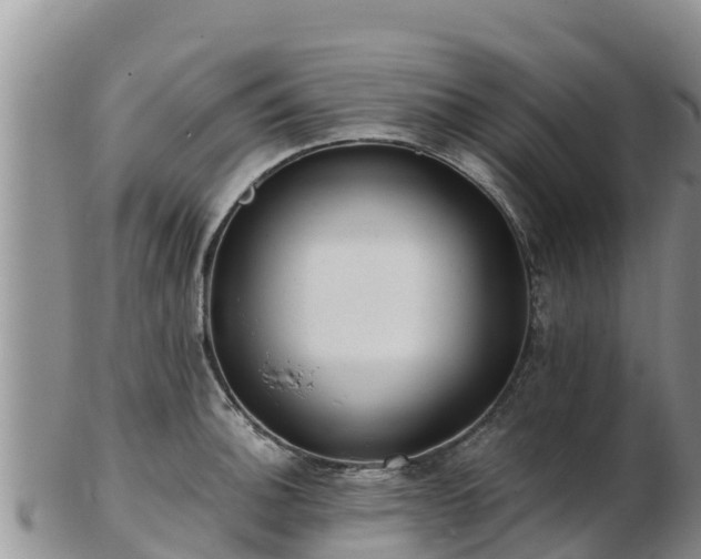 X0000103311140200809051539