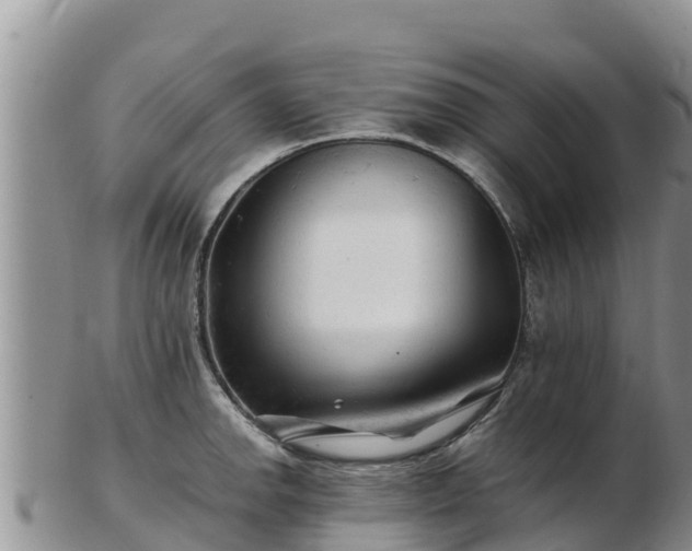 X0000103311142200809051539
