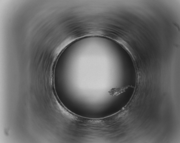 X0000103311143200809051539