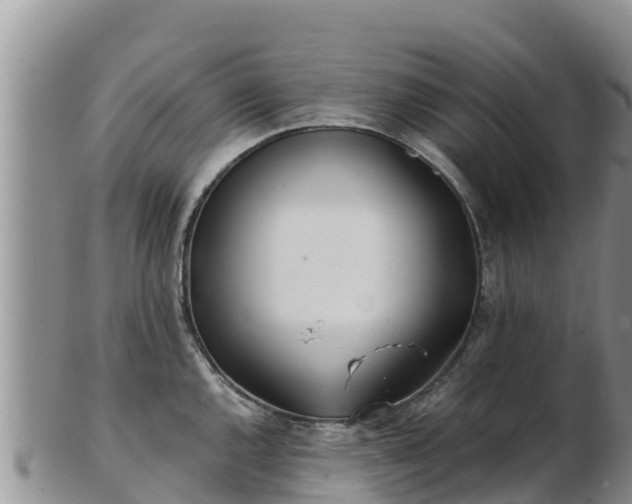 X0000103311144200809051539