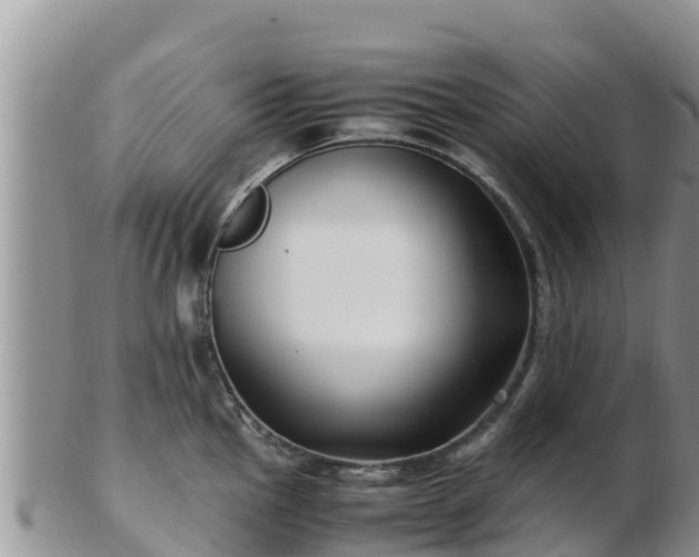 X0000103311145200809051539