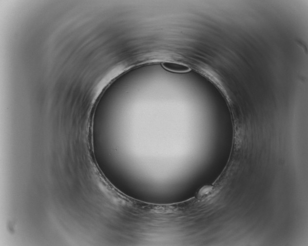 X0000103311146200809051539
