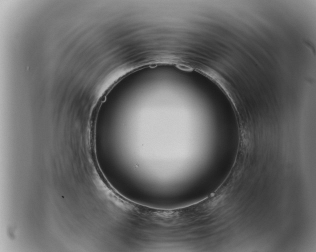 X0000103311147200809051539