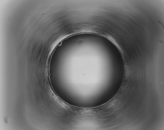 X0000103311148200809051539