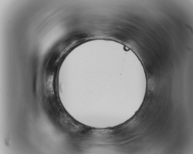X0000103311150200809051539