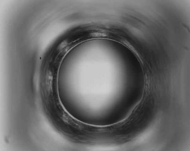 X0000103311151200809051539