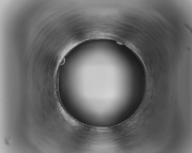 X0000103311152200809051539
