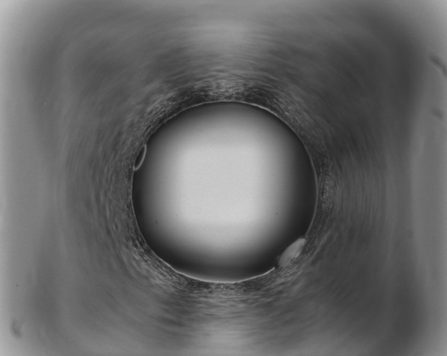 X0000103311153200809051538