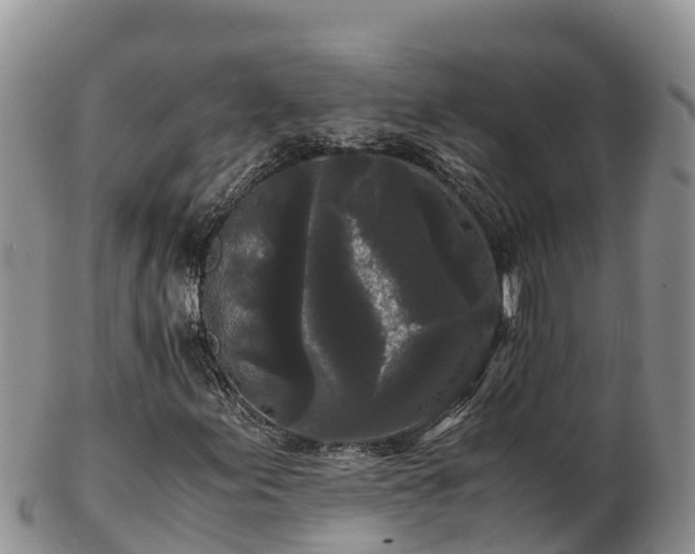 X0000103311155200809051538
