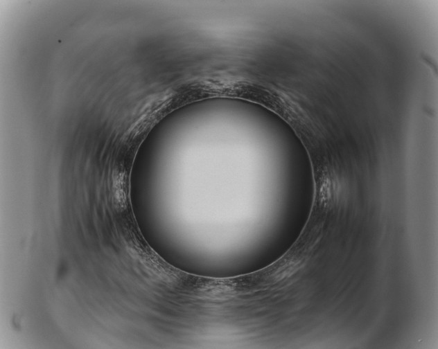 X0000103311156200809051538