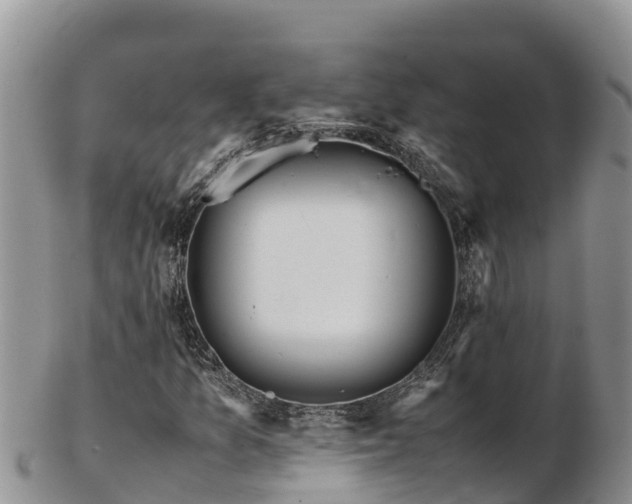 X0000103311157200809051538